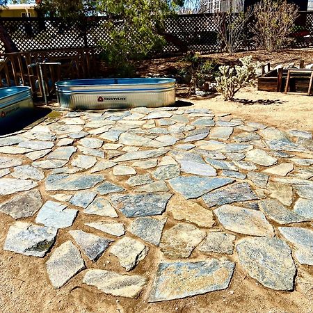 Popular Homestead! Location, Stargaze, Views! Joshua Tree Eksteriør bilde