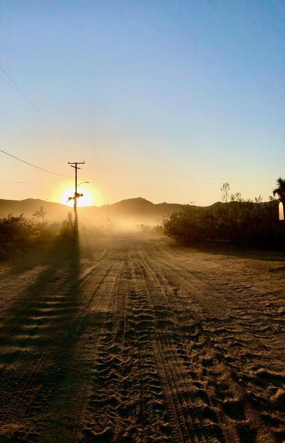 Popular Homestead! Location, Stargaze, Views! Joshua Tree Eksteriør bilde