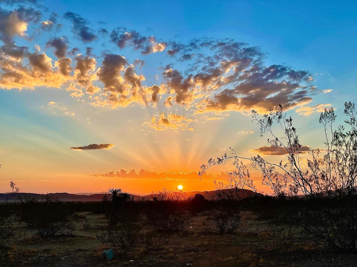 Popular Homestead! Location, Stargaze, Views! Joshua Tree Eksteriør bilde
