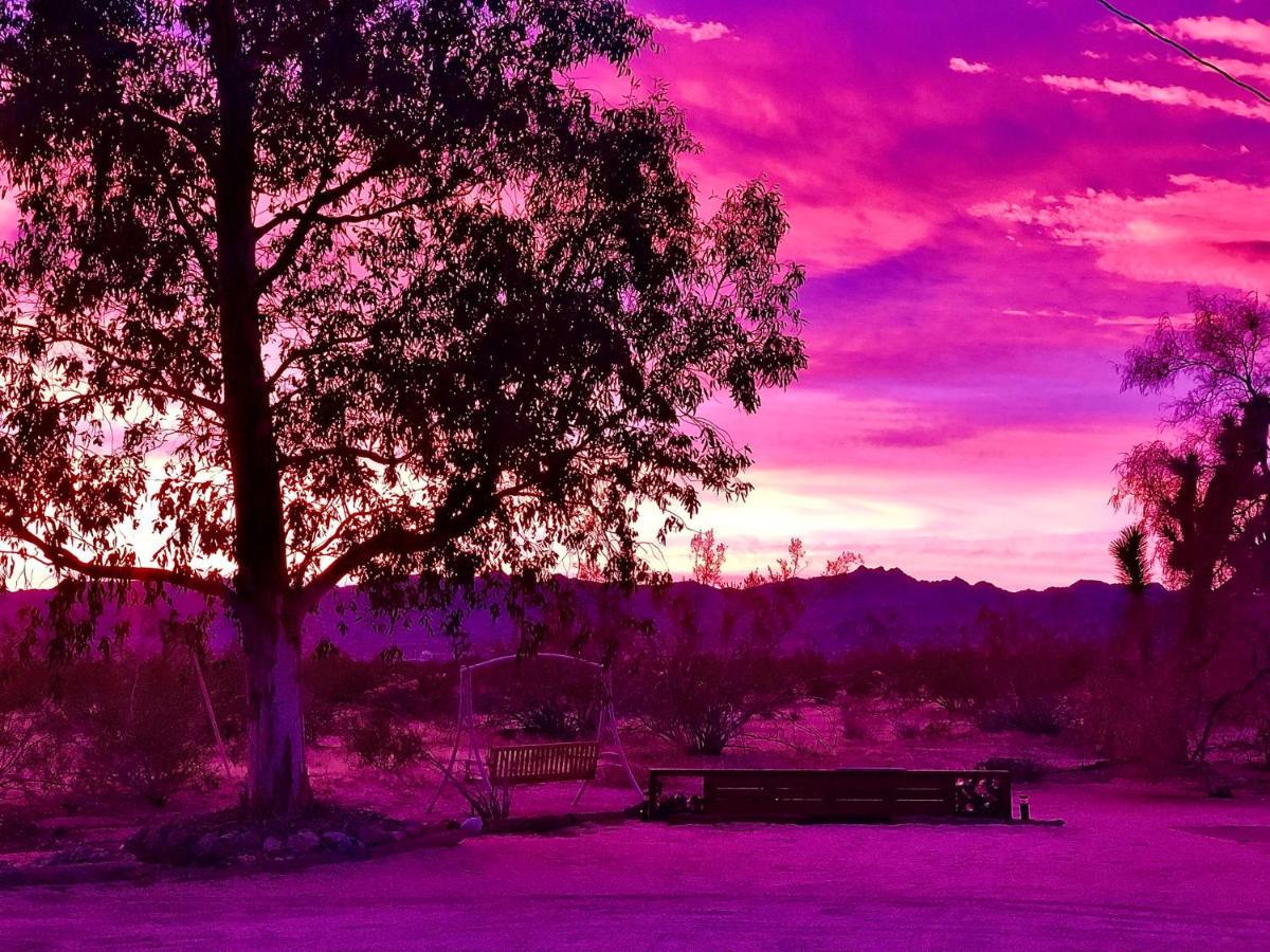 Popular Homestead! Location, Stargaze, Views! Joshua Tree Eksteriør bilde