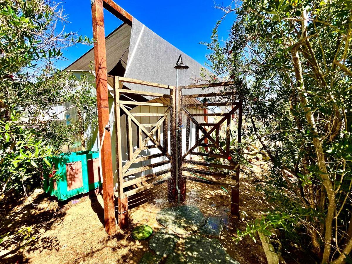 Popular Homestead! Location, Stargaze, Views! Joshua Tree Eksteriør bilde