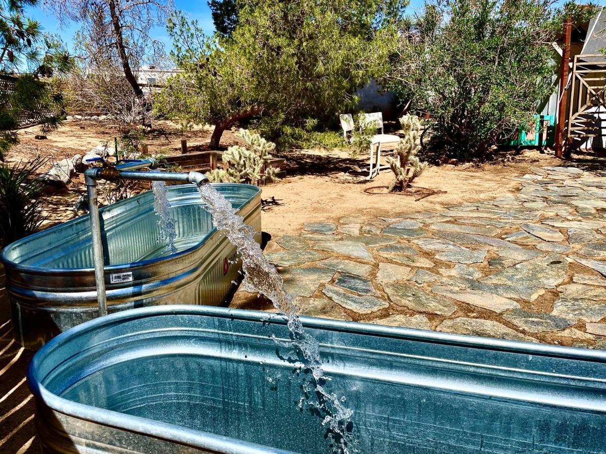Popular Homestead! Location, Stargaze, Views! Joshua Tree Eksteriør bilde