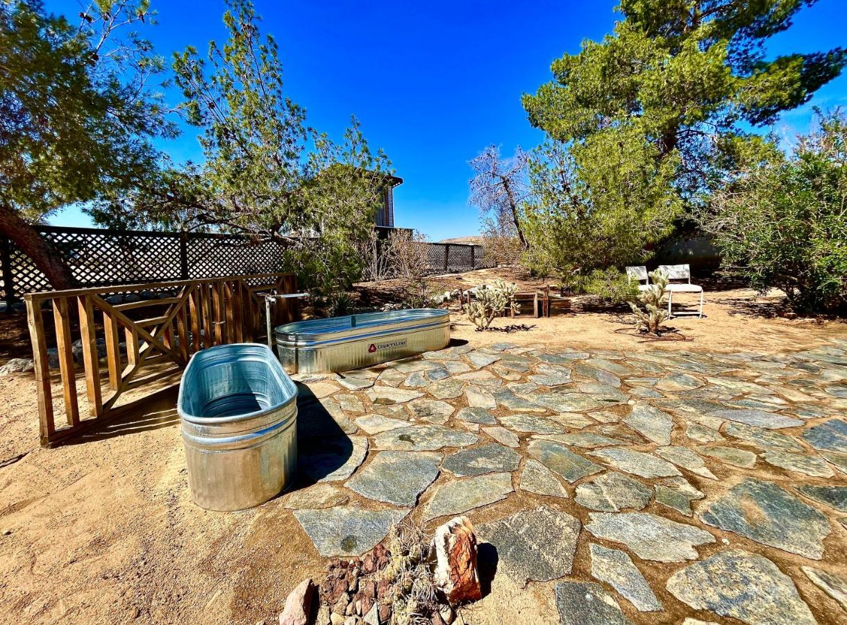 Popular Homestead! Location, Stargaze, Views! Joshua Tree Eksteriør bilde