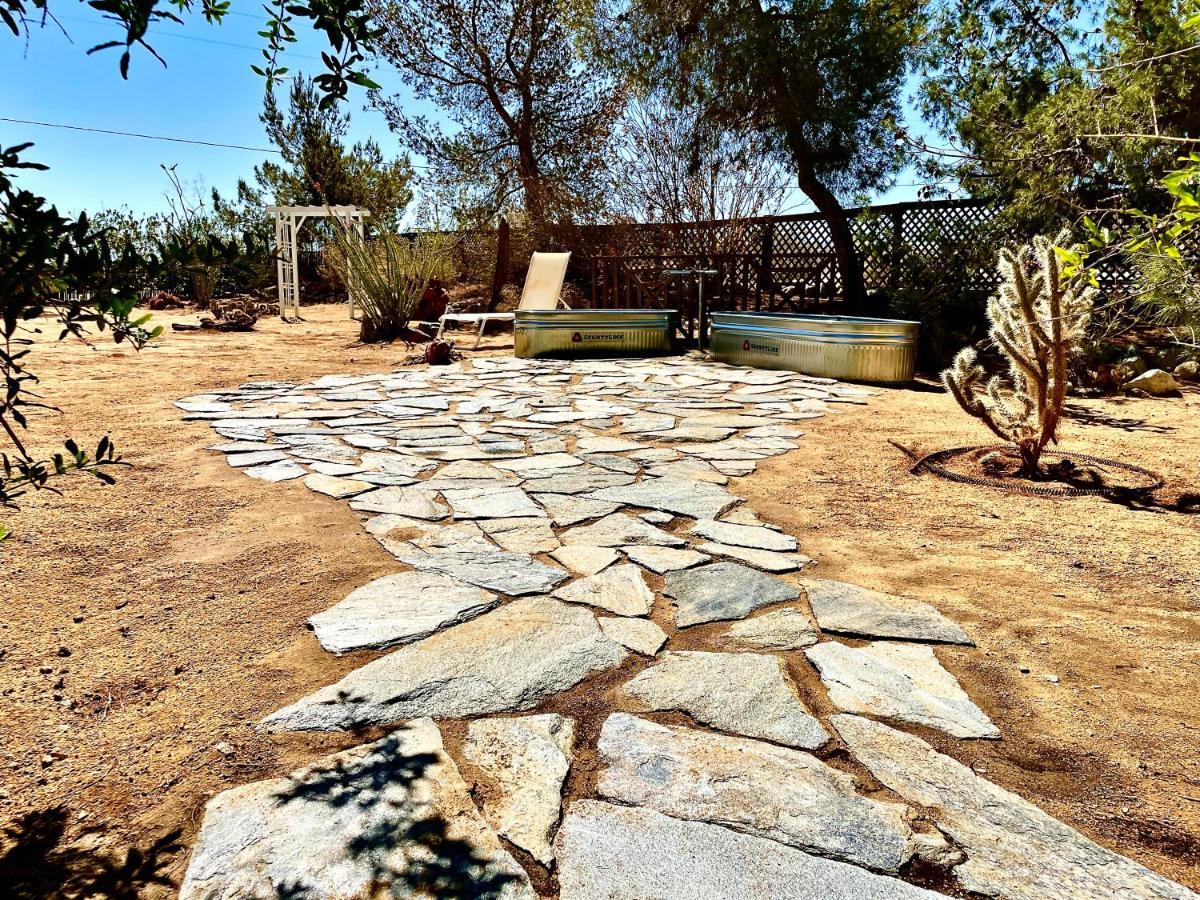 Popular Homestead! Location, Stargaze, Views! Joshua Tree Eksteriør bilde