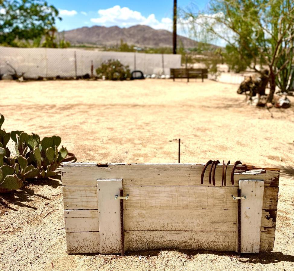 Popular Homestead! Location, Stargaze, Views! Joshua Tree Eksteriør bilde