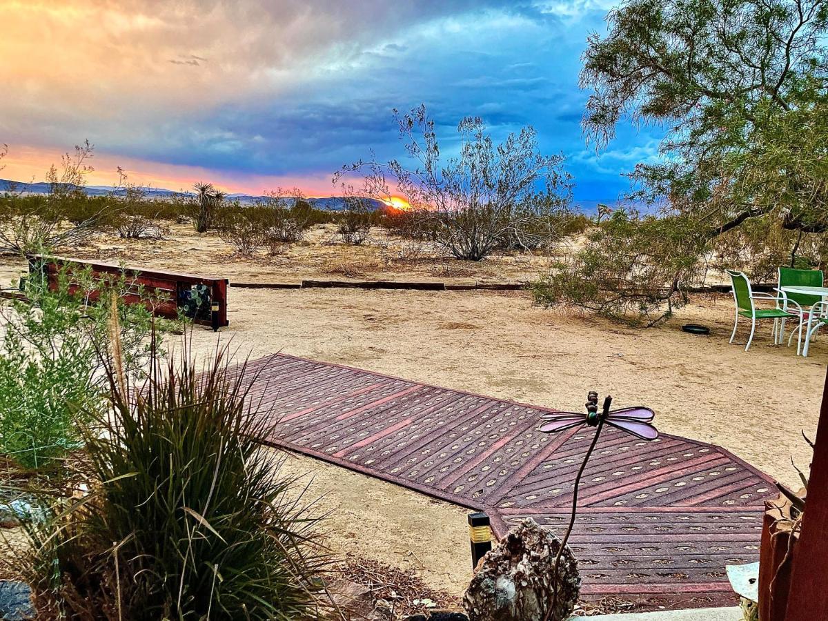 Popular Homestead! Location, Stargaze, Views! Joshua Tree Eksteriør bilde