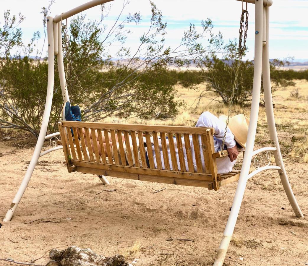 Popular Homestead! Location, Stargaze, Views! Joshua Tree Eksteriør bilde